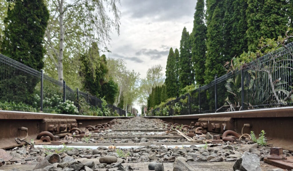 The Secret is in the Soil: Why Hawke’s Bay Wine is World-Famous 1 Premium Tours Napier - New Zealand 2025 Hawke’s Bay