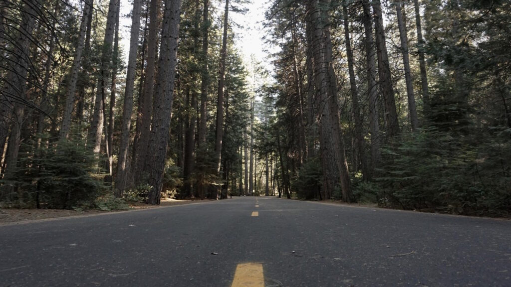 Napier’s Golden Hour: Why Sunset at Te Mata Peak is Unforgettable 1 Premium Tours Napier - New Zealand 2025 Te Mata Peak