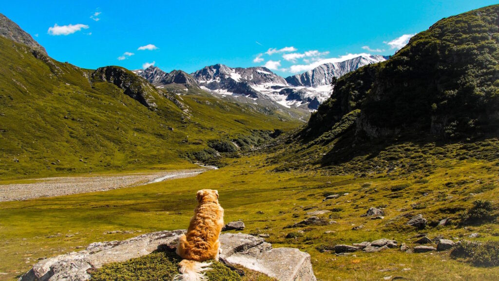 Napier’s Golden Hour: Why Sunset at Te Mata Peak is Unforgettable 4 Premium Tours Napier - New Zealand 2025 Te Mata Peak
