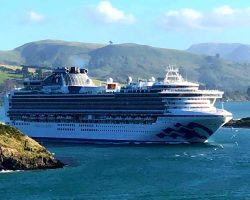 Napier Shore Excursions - Cruise Ship Passenger Exclusive